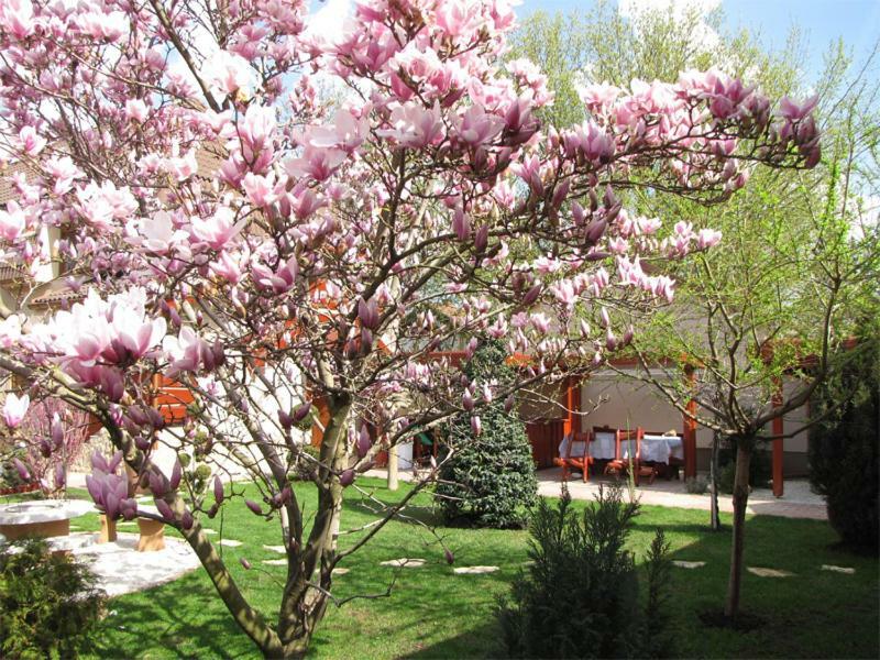 Szegfu Apartman Βίλα Hajdúszoboszló Εξωτερικό φωτογραφία